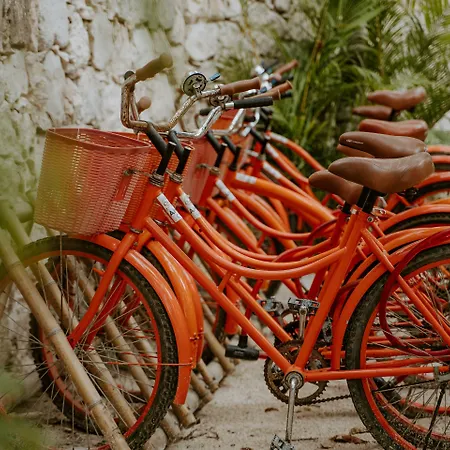 Hotel Ahau Beachfront (adults Only) Tulum