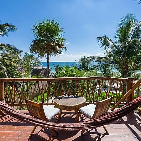 Ahau Beachfront (adults Only) Hotel