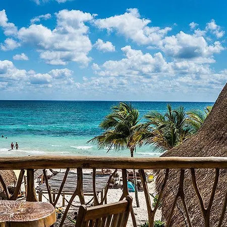 Ahau Beachfront (adults Only)