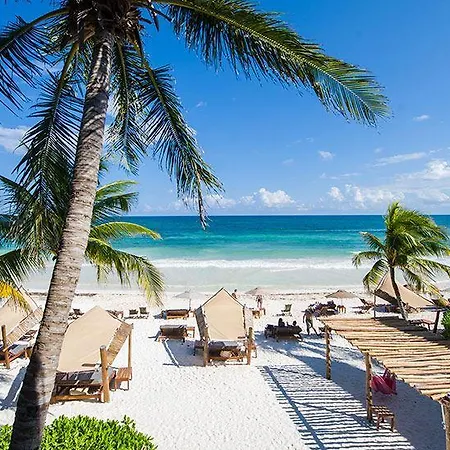 Ahau Beachfront (adults Only) 4* Tulum
