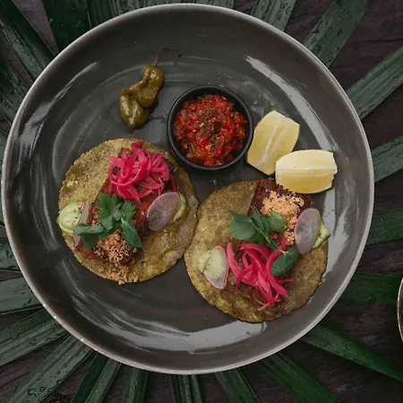 Bardo - Adults Only Tulum