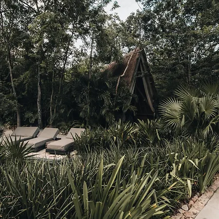 Bardo - Adults Only 5* Tulum