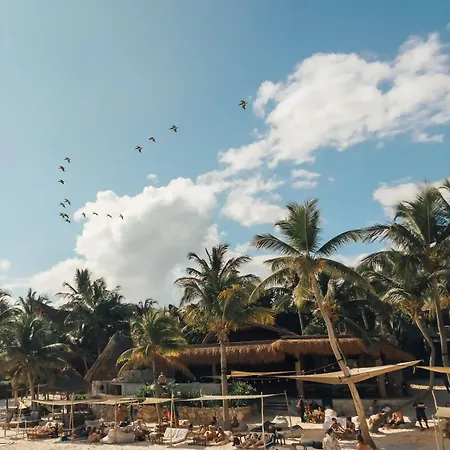 Delek Tulum