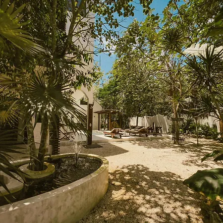 Casa Tira - Your Luxury Jungle Mansion In