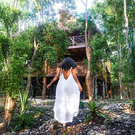 Treehouse H2ojos