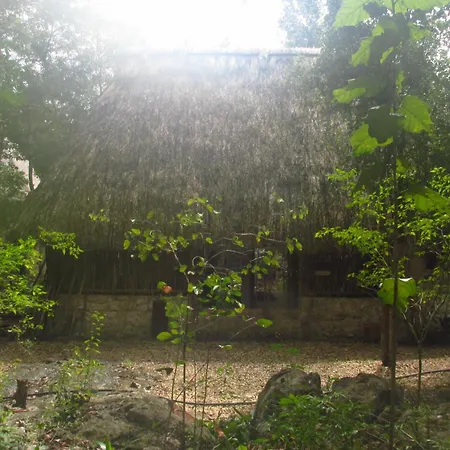 Guest house Barefoot Jungle