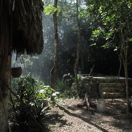 Guest house Barefoot Jungle