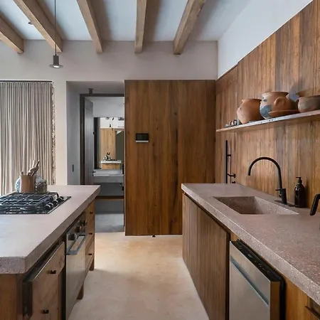 3br In Gated Community With Private Rooftop Plunge Pool, Grill & Shared Pool * Tulum