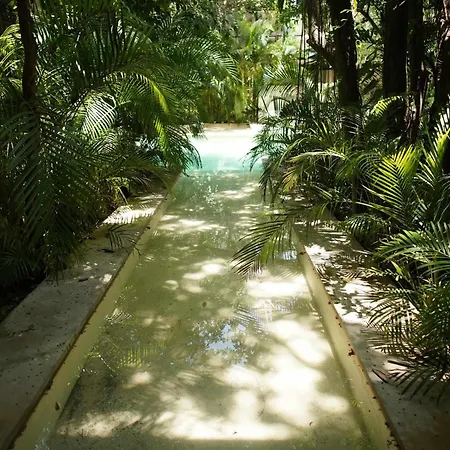Thoth Departamento En La Veleta Holiday home Tulum