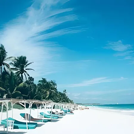 Jungle Guardian - Rooftop Pool & Club * Tulum