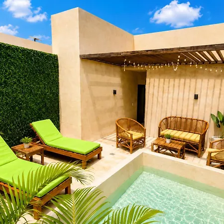 Apartment Luxury Penthouse With Private Plunge Pool In *