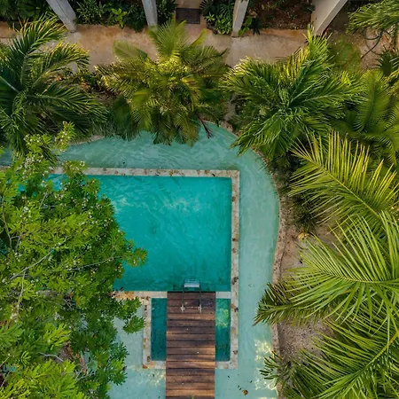 Soko * Tulum