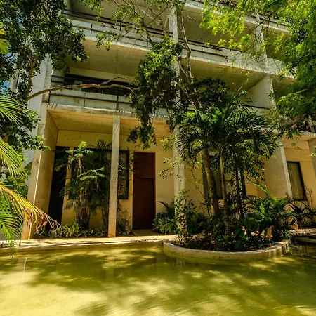 Soko Tulum