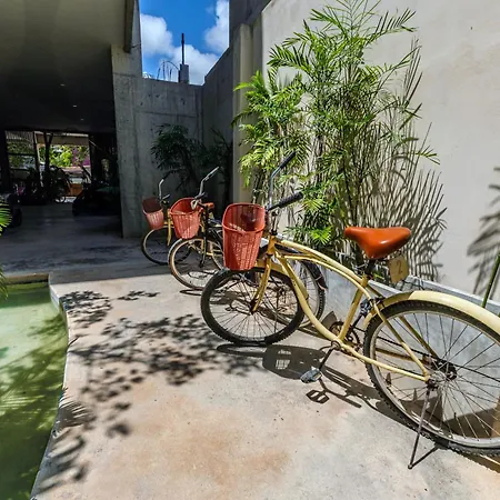 Apartment Soko