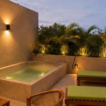 Apartment Luxury Penthouse With Private Plunge Pool In *