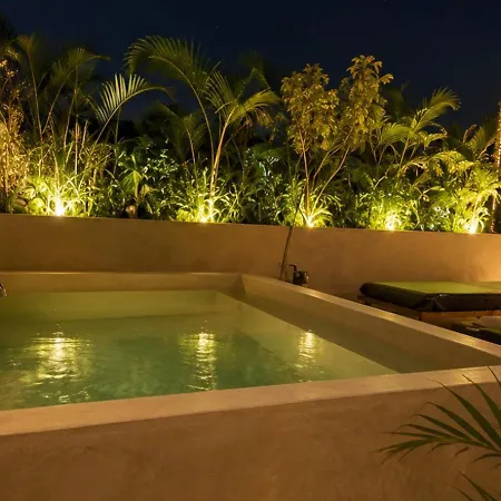 Luxury Penthouse With Private Plunge Pool In