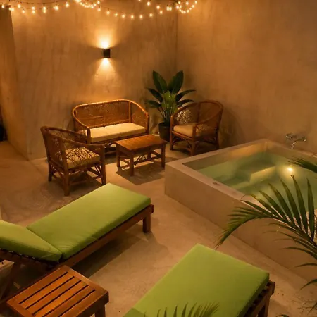 Luxury Penthouse With Private Plunge Pool In