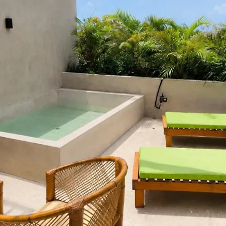 Luxury Penthouse With Private Plunge Pool In