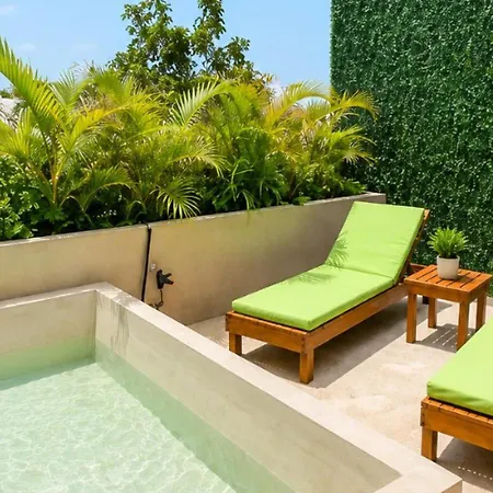 Apartment Luxury Penthouse With Private Plunge Pool In Tulum