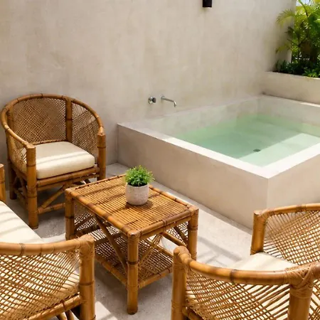 Apartment Luxury Penthouse With Private Plunge Pool In