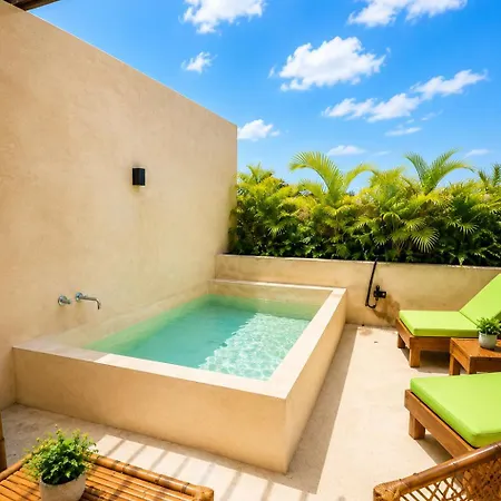 Apartment Luxury Penthouse With Private Plunge Pool In