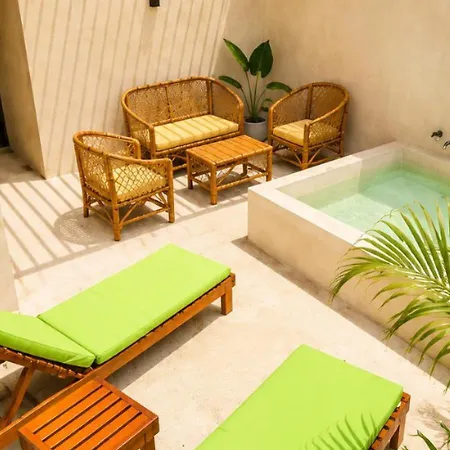 Luxury Penthouse With Private Plunge Pool In