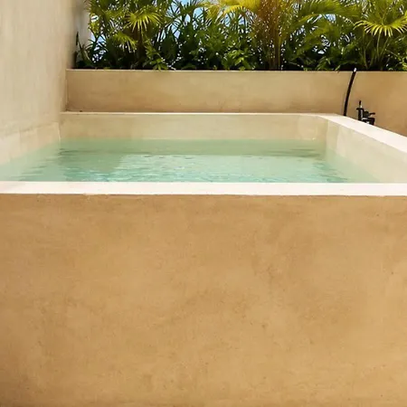 Luxury Penthouse With Private Plunge Pool In Apartment Tulum