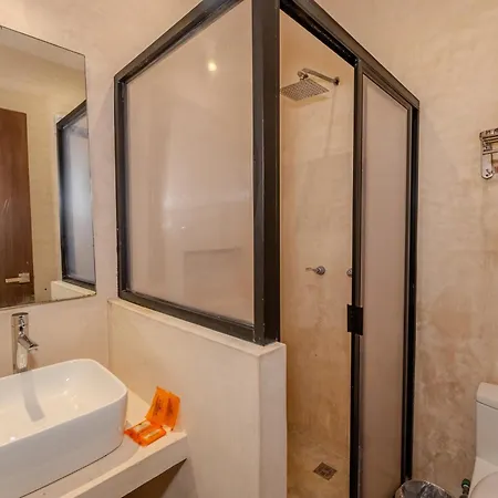 Apartment Soko *