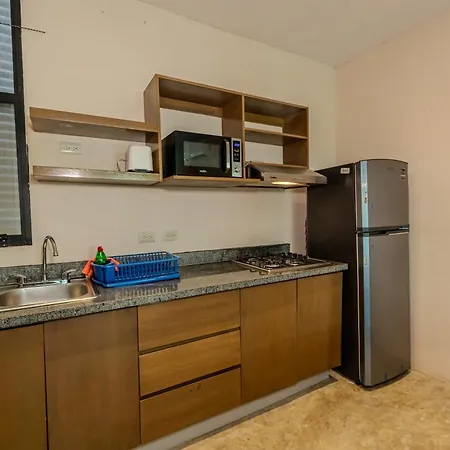 Apartment Soko