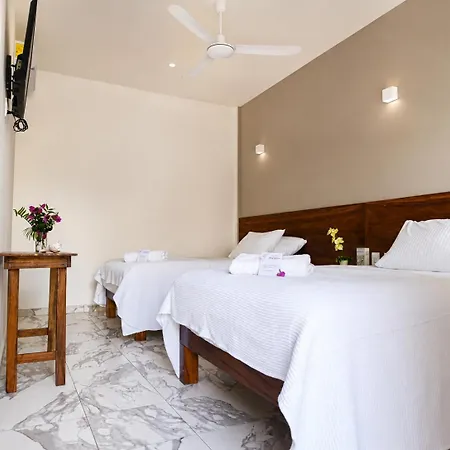 Hotel Centrico *