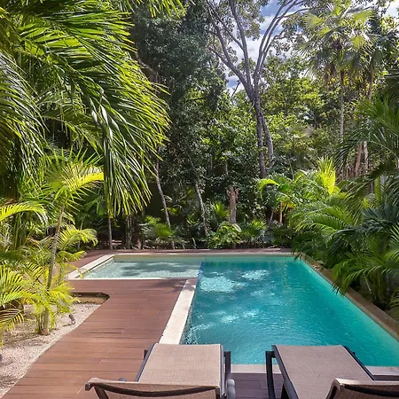 Mayan Culture With Rooftop Pool