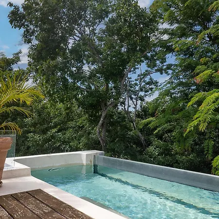 Mayan Culture With Rooftop Pool Holiday home Tulum