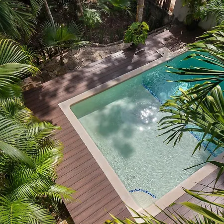 Mayan Culture With Rooftop Pool Tulum