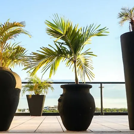 Holiday home Luum Vibe, Free Soul And A Refuge In The Jungle *