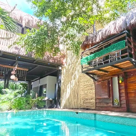 Mr Zamna * Tulum