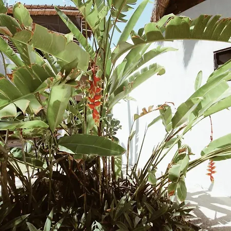 Aqua Viva Hotel Tulum