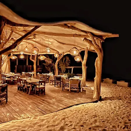 Qamar 5*