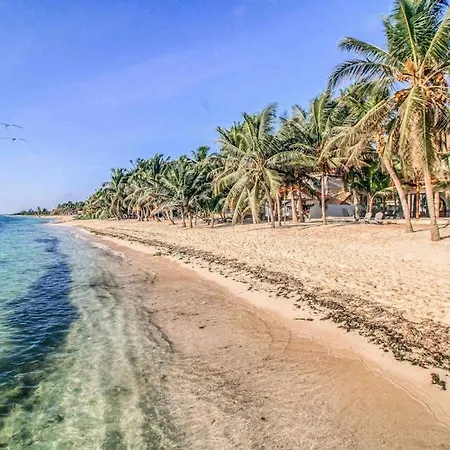 Beachfront With Private Heated Pool Jacuzzi Sauna Ocean Views & Ac - 7th Heaven