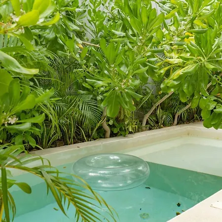 Pools Privadas Rooftop Selva Villa Tulum