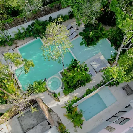 Villa Pools Privadas Rooftop Selva Tulum