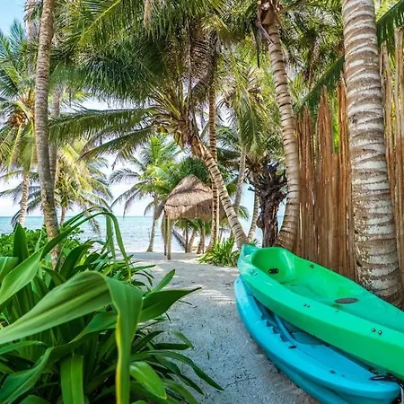 Beachfront Paradise With Private Pool Ocean View Full Kitchen & Shaded Patio - Mandala Holiday home