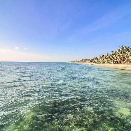Beachfront With Private Heated Pool Jacuzzi Sauna Ocean Views & Ac - 7th Heaven