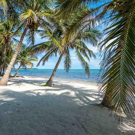 Beachfront Paradise With Private Pool Ocean View Full Kitchen & Shaded Patio - Mandala * Tulum