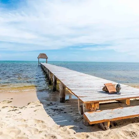 Beachfront Paradise With Private Pool Ocean View Full Kitchen & Shaded Patio - Mandala Tulum