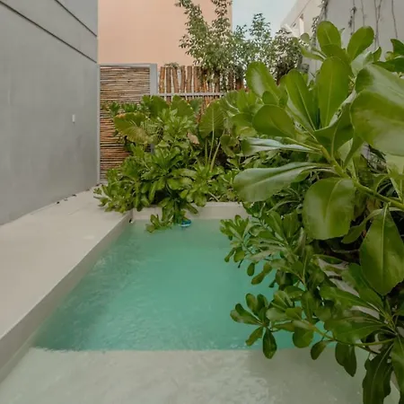 Pools Privadas Rooftop Selva Tulum