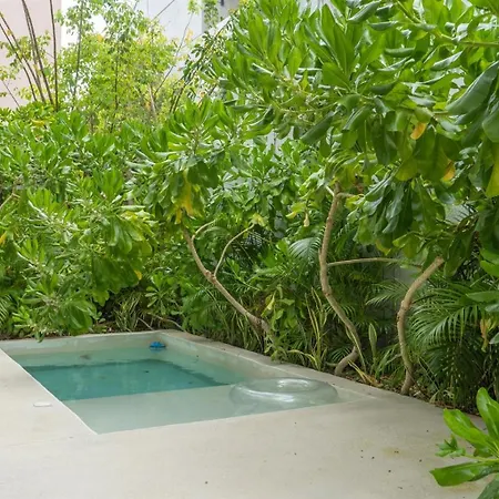 Villa Pools Privadas Rooftop Selva Tulum