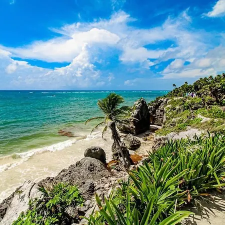Oceanfront With Access Pool Balconies & Waterfront Hammocks - Sol Tulum