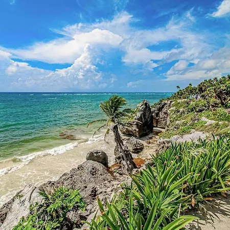 Beachfront With Private Heated Pool Jacuzzi Sauna Ocean Views & Ac - 7th Heaven Holiday home