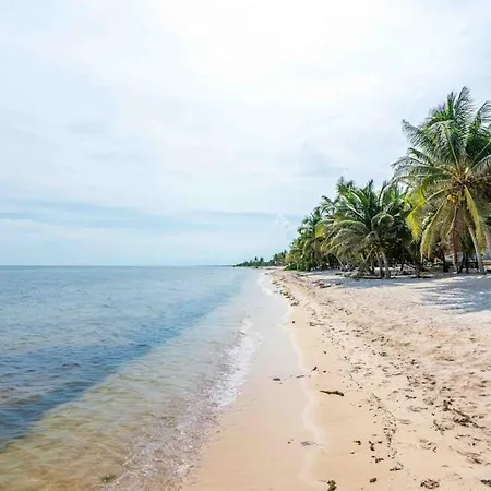 Beachfront Paradise With Private Pool Ocean View Full Kitchen & Shaded Patio - Mandala * Tulum