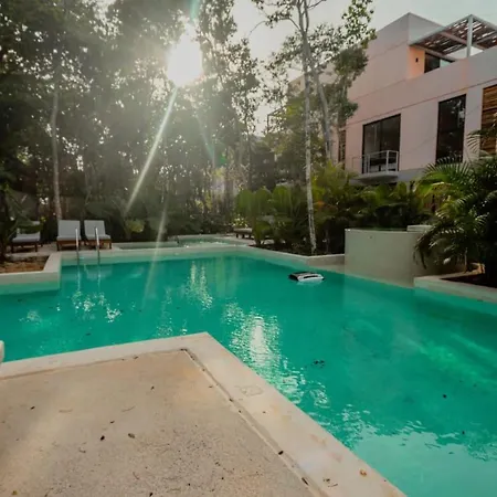 Pools Privadas Rooftop Selva